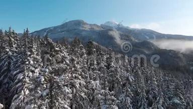 空中无人<strong>机</strong>的镜头雪覆盖的树木与<strong>惠</strong>斯勒山的背景。 4K24FPS。